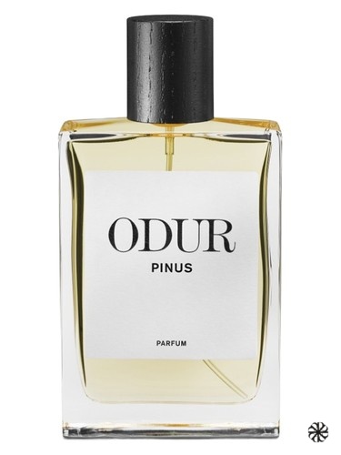 Pinus ODUR