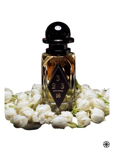 Wild Jasmine OrdioLab