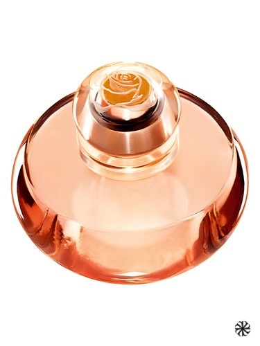 Volare Oriflame
