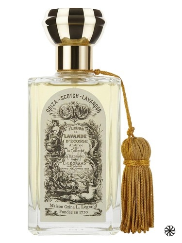 Scotch Lavender Oriza L. Legrand