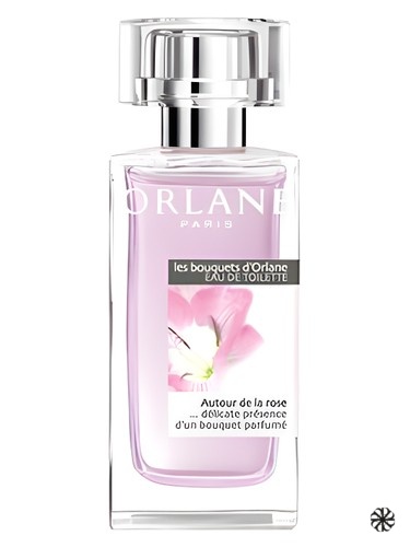 Autour de la Rose Orlane