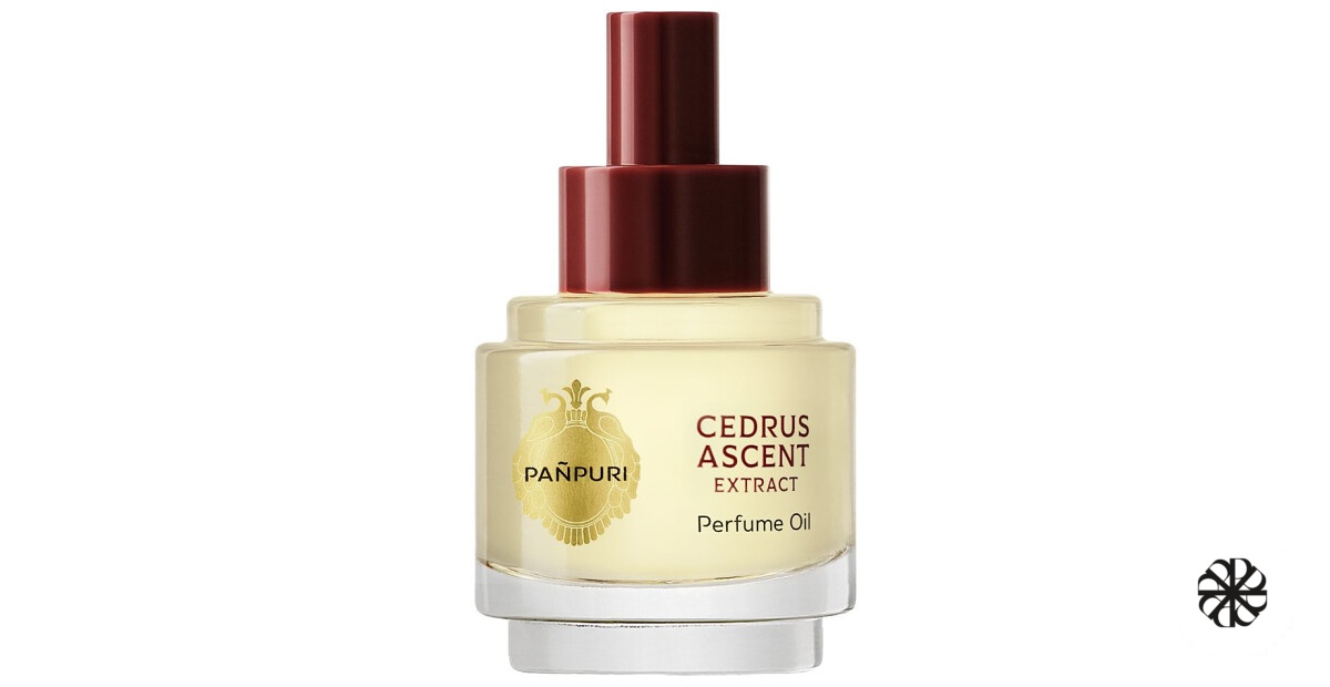 Cedrus Ascent Pañpuri