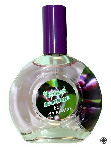 Black Tulip Черный Тюльпан Parfums Guy Alari