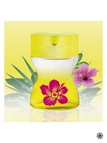 Sun & Love Parfums Love Love