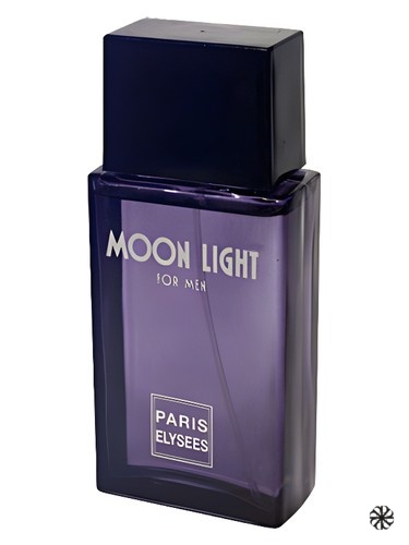 Moon Light Paris Elysees