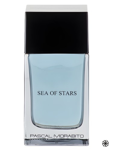 Sea of Stars Pascal Morabito