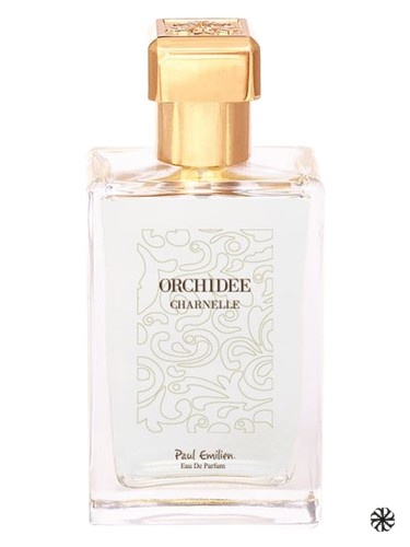 Orchidée Charnelle Paul Emilien