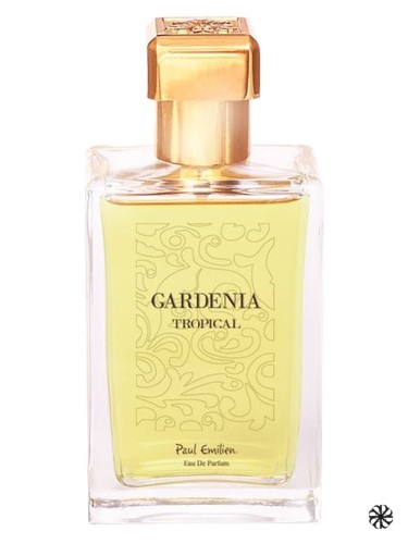 Gardenia Tropical Paul Emilien