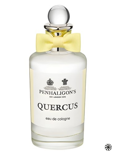 Quercus Penhaligon's
