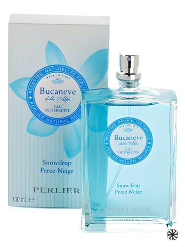 Bucaneve (Snowdrop) Perlier