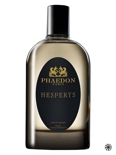 Hesperys Phaedon