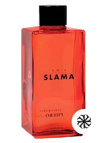 Amir Slama Phebo