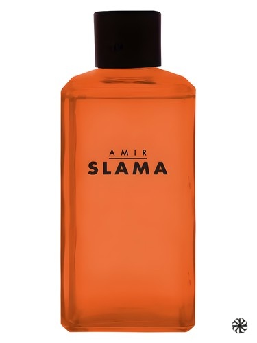 Amir Slama Raiz Phebo