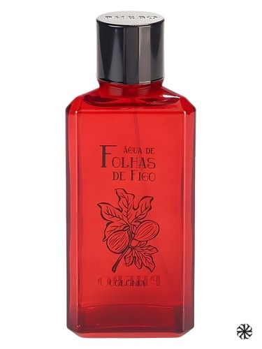 Água de Folhas de Figo Phebo