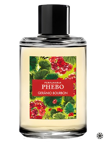 Gerânio Bourbon Phebo