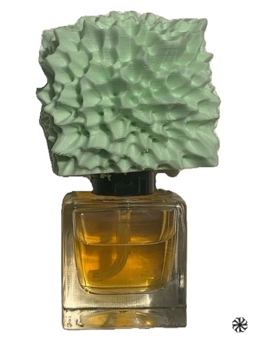 Ground-Zero Standards Phronema Perfumes