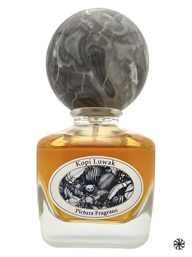 Kopi Luwak Pictura Fragrans