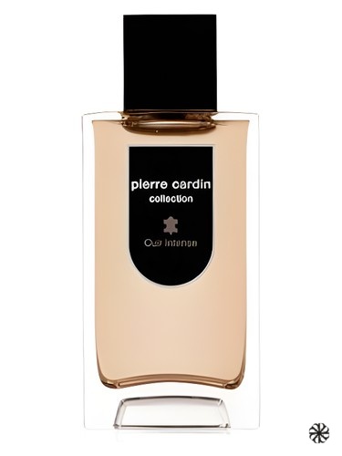 Pierre Cardin Collection Cuir Intense Pierre Cardin