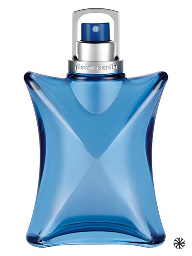 Vertige Pour Homme Pierre Cardin