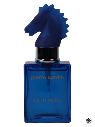 Centaure Cuir Casaque Pierre Cardin