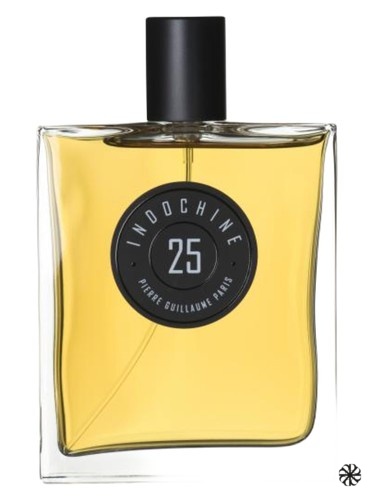 Indochine 25 Pierre Guillaume Paris