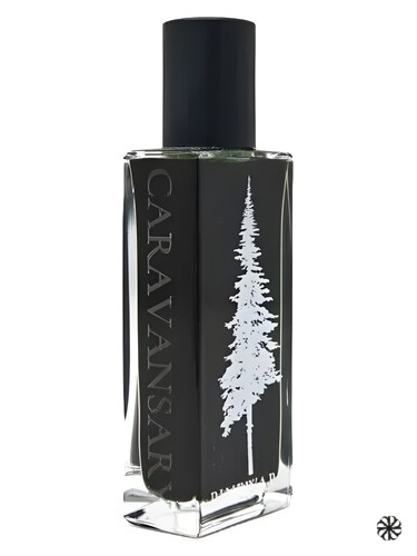 Caravansary Pineward Perfumes