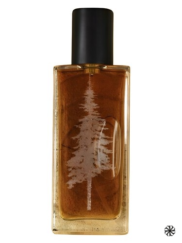 Glühwein Pineward Perfumes