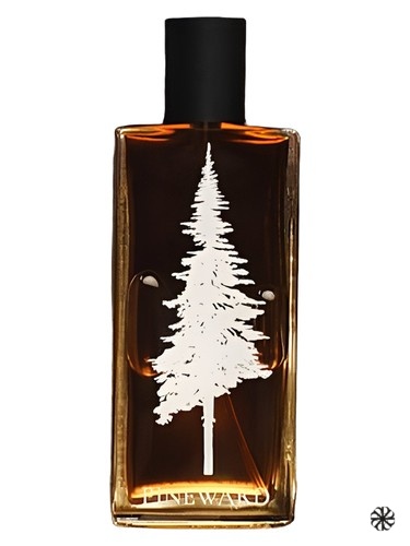 Lime Cola Pineward Perfumes