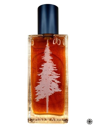 Tome Pineward Perfumes