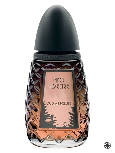 Oud Absolute Pino Silvestre