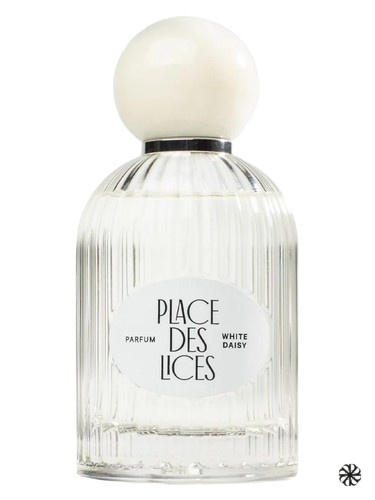 White Daisy Place des Lices