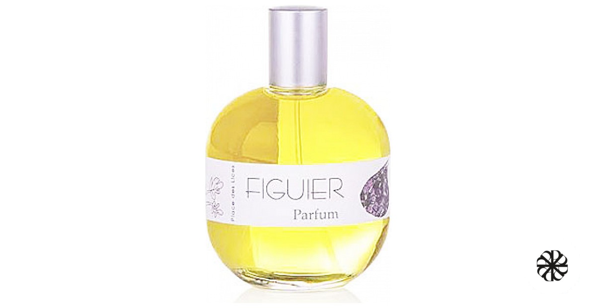 Figuier Place des Lices