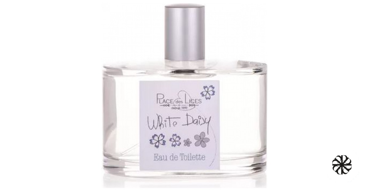 White Daisy Place des Lices