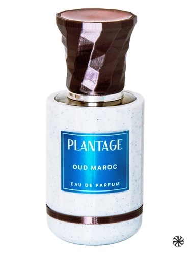 Oud Maroc Plantage