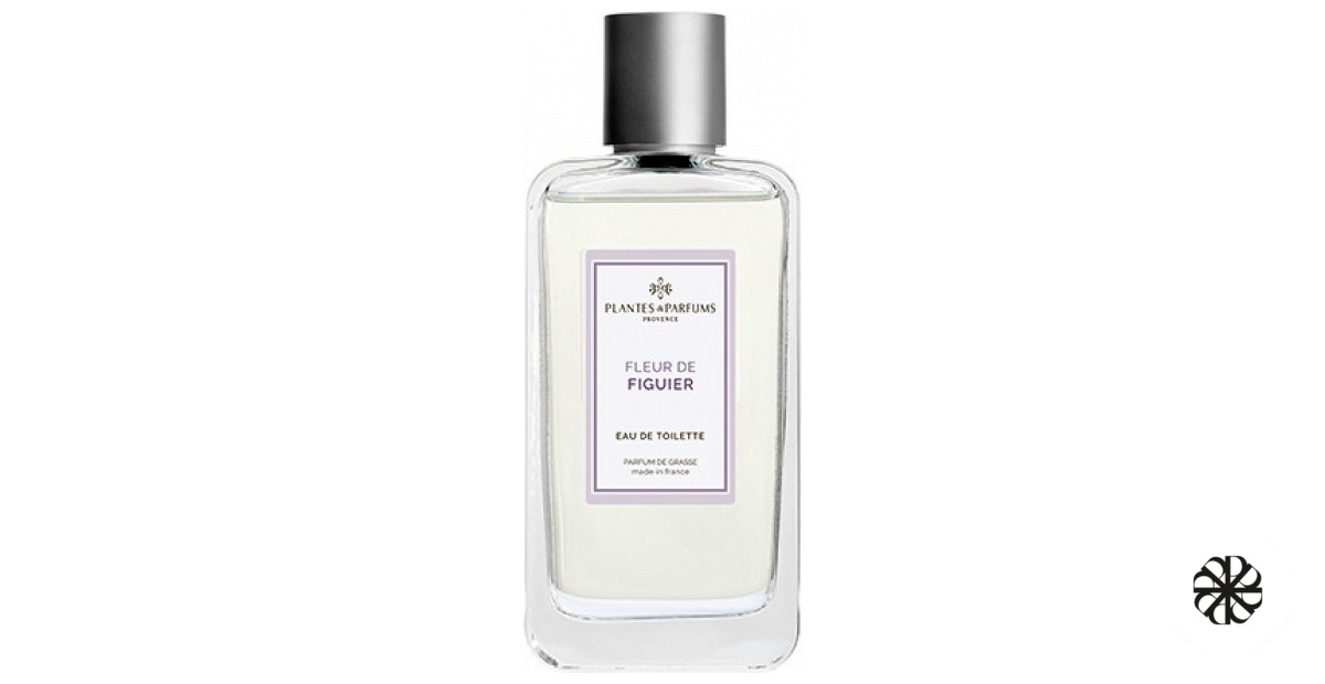 Fleur de Figuier Plantes & Parfums