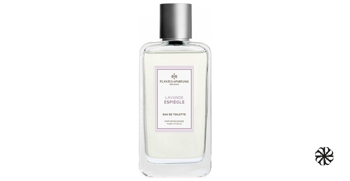 Lavande Espiègle Plantes & Parfums