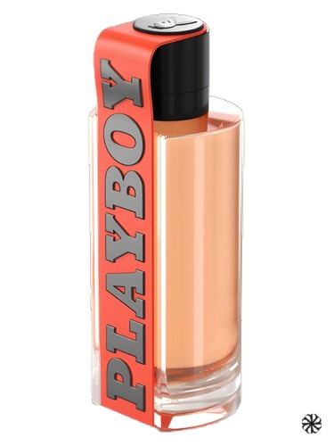 Game Changer Playboy