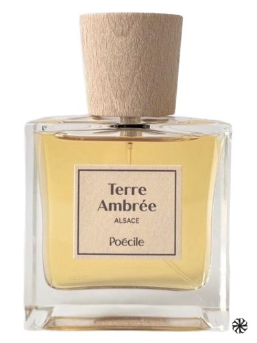 Terre Ambrée Poécile Parfums