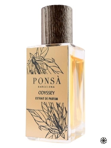 Odyssey Ponsa