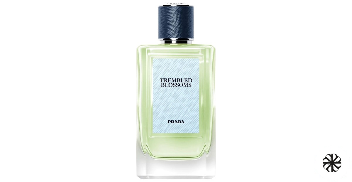 Trembled Blossoms Prada