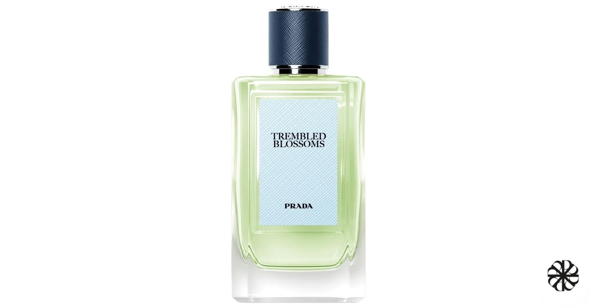 Trembled Blossoms Prada