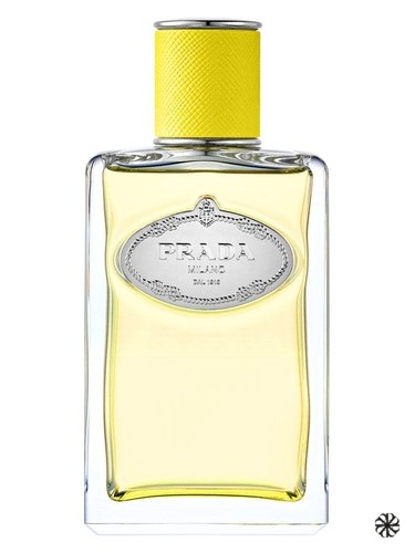 Infusion d'Ylang Prada