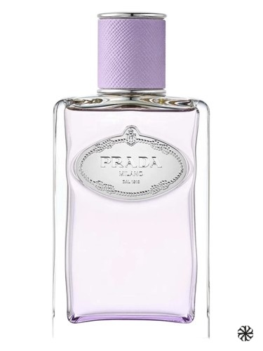 Infusion de Figue Prada