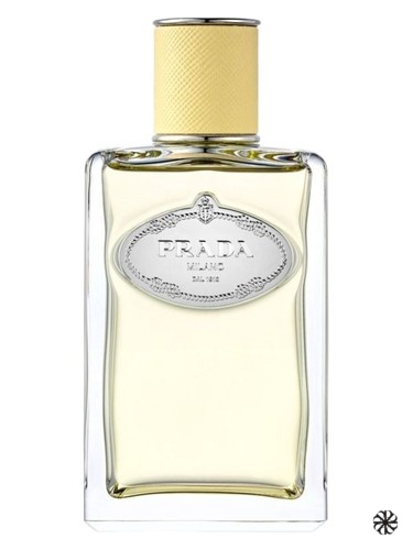 Infusion de Mimosa Prada