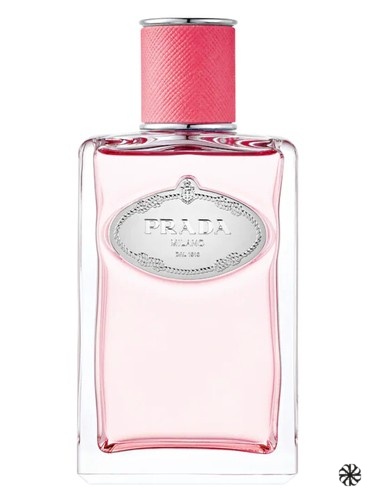 Infusion de Rhubarbe Prada