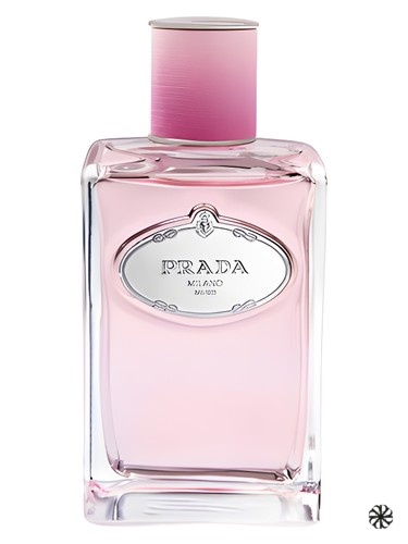 Infusion de Rose Prada
