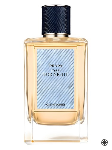 Day For Night Prada