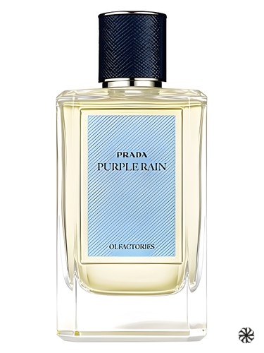 Purple Rain Prada