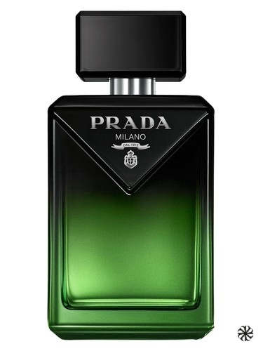 Paradigme Le Parfum Prada