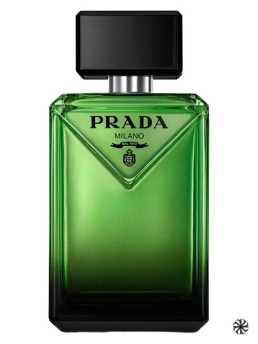 Paradigme Prada